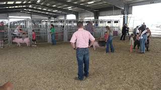 Umatilla County Fair 2024  4HFFA Swine Showmanship [upl. by Irahcaz]