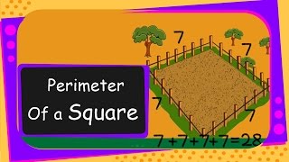 Maths  Perimeter of a Square  English [upl. by Calondra]