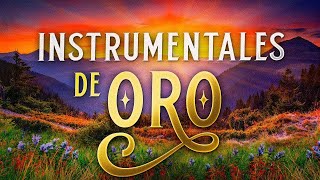 Musica Instrumental de Oro Para Escuchar Grandes Hits Instrumentales [upl. by Adrea]