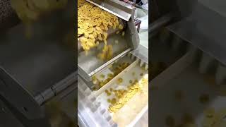 Pani puri making process  panipuri youtube facts factorymaking factorymakingprocess [upl. by Kienan]