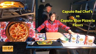 Caputo Blue Pizzeria vs Caputo Red Chefs Flour [upl. by Nemzzaj]