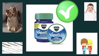 Rub VICKS VapoRub on Your Feet and Feel What Happens In Body  Pharmacist Javaid [upl. by Mian]