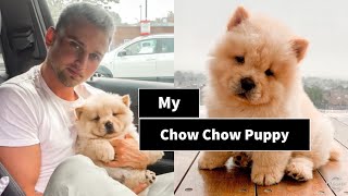 Getting My Chow Chow Puppy 🐶🐾 [upl. by Reel]