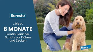 Seresto® Halsband für Hunde – alle Informationen auf einen Blick [upl. by Yrroc]