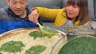 सिस्नो र मकैको भात मुक्बांग  Stinging Nettle soup amp Corn Rice MukBang [upl. by Sivatnod862]