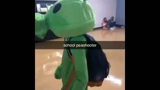 Peashooter in school Credit X Twitter meme memes shorts [upl. by Ayaj222]