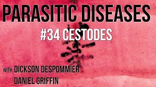 Parasitic Diseases Lectures 34 Cestodes [upl. by Vashti697]