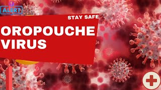 Oropouche Virus The Silent Threat Spreading Across the Globe [upl. by Irish]