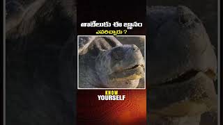 తాబేలుకు ఈ జ్ఞానం ఎవరిచ్చారు  Maitreya Channel [upl. by Ettenot]