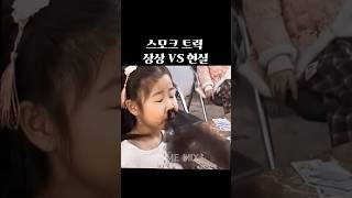 스모크 트릭 상상 vs 현실 vape trick [upl. by Emanuel]