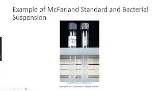 Clinical Microbiology Antimicrobial Susceptibility Testing [upl. by Yelruc]