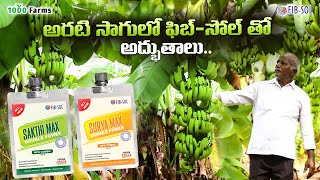 అరటి సాగులో quotఫిబ్సోల్quot అద్భుతాలుFIBSOLbananafarming rythubadiagriculture highyieldfarming [upl. by Comptom243]