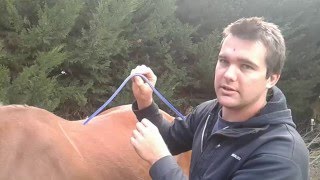 Saddle fitting pt1 How to use the Gullet Measuring Tool [upl. by Ynohtnad]