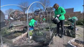 Kernmetpit 23 Trofeewinnaar NH Moestuin Steker [upl. by Zysk]