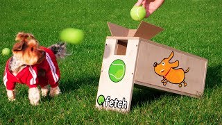 Dog Ball Launcher Your Dog Wants to Try [upl. by Keir1]