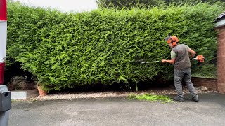 Homeowners Overgrown Hedge had not been Cut for 3 Years [upl. by Derdlim]