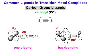 Types of Bonding in Transition Metal Systems and Simple Ligands [upl. by Laon]