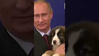 Putin playing with dogs viral trending ytshorts usa ytviral russiamilitarypower shorts [upl. by Hiram425]