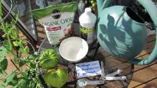 Using Organic Fish Emulsion or Fertilizer on Garden Vegetables The Basics  The Rusted Garden 2013 [upl. by Usanis]