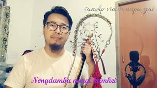 Nongdamba nangi kumhei se  pena instrumental [upl. by Farrington]