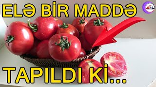 Bu tərəvəzdə elə bir maddə tapıldı ki ŞOK ARAŞDIRMA [upl. by Ovatsug]