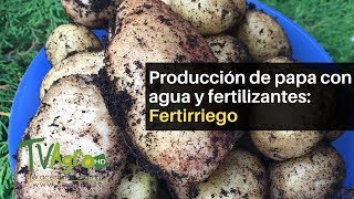 Producción de papa con agua y fertilizantes Fertirriego TvAgro por Juan Gonzalo Angel [upl. by Kamp]