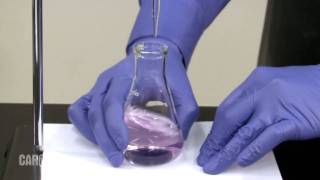 Setting up and Performing a Titration [upl. by Negrom]