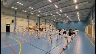 Champion taekwondo klubb Gradering vårtermin 2021 [upl. by Nnayllehs]