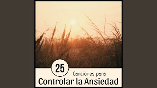 25 Canciones para Controlar la Ansiedad [upl. by Renae]