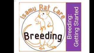 Breeding Getting started [upl. by Bronny299]