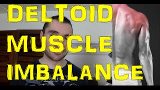 Muscle Imbalance Between Front Delt amp Rear Delt Explained [upl. by Galatea481]