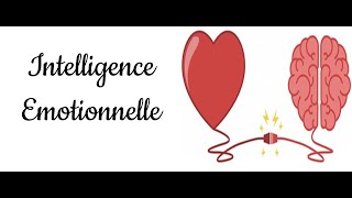 Intelligence Emotionnelle CO chap 2A [upl. by Miof Mela]