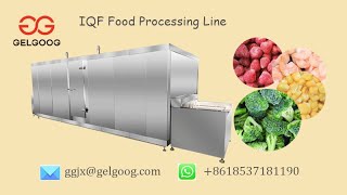 GELGOOG Machinery IQF Frozen Food Machine Processing Line [upl. by Gathard]