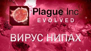 Plague Inc Evolved Вирус Нипах  Nipah Virus [upl. by Ahseket]