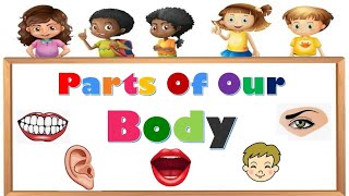 Body partsbody parts for kidsparts of body with pictures bodypartsforkids partsofbodynames [upl. by Anowahs]