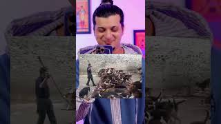 When video reach wrong audience ot 250  Funny instagram comments  Ankur khan [upl. by Evelinn]