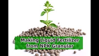 Making Liquid Fertilizer From NPK Granular [upl. by Meadow]