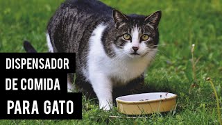 como hacer un dispensador de comida para gatos con botellas [upl. by Roarke]