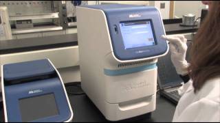 Amplify Sample with The StepOnePlus™ Real Time System qPCR step 6 [upl. by Eseerehs]