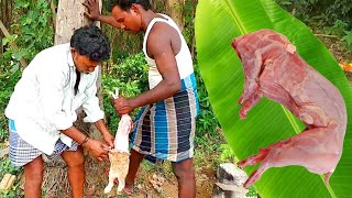 RABBIT Roast Prepared by my Daddy in my village  Village Life Style [upl. by Delainey]