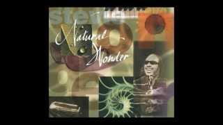 Stevie Wonder  Dancing To The Rhythm Lyrics HD [upl. by Cornela]