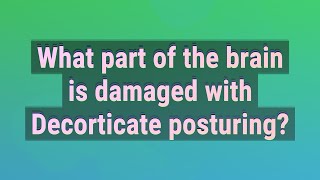 What part of the brain is damaged with Decorticate posturing [upl. by Slotnick]