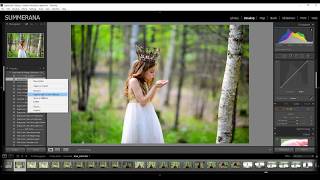 How to Organize your Lightroom Presets in Lightroom [upl. by Natiha]