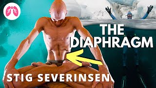 The Power of The Diaphragm  Stig Severinsen TAKE A DEEP BREATH CLIPS podcast [upl. by Leary]