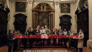 JESU REX ADMIRABILIS Palestrina Schola Cantorum G Vianini Milano It [upl. by Atillertse]