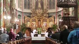 Sanctus of Missa XI  Traditional Latin Mass [upl. by Vassell]