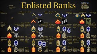 US Military All Branches ENLISTED Ranks Explained [upl. by Furiya934]