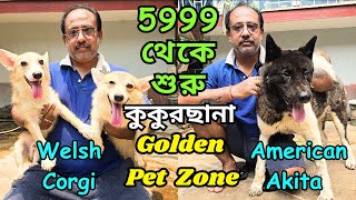 Biggest Dog Kennel in West Bengal । Home Breed Puppies Sell । Dog Market in Kolkata [upl. by Esbensen]