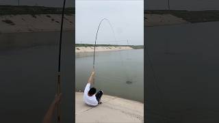 Fishing practice😂 Wait For End  practice fishing amegingfacts viralreels shorts AGGACHOKRO [upl. by Elyad965]