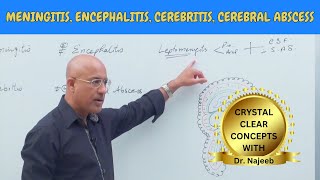 Difference Between Meningitis  Encephalitis  Cerebritis  Cerebral Abscess🩺 [upl. by Nahtnoj]